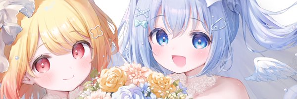 pii_pi_v Profile Banner