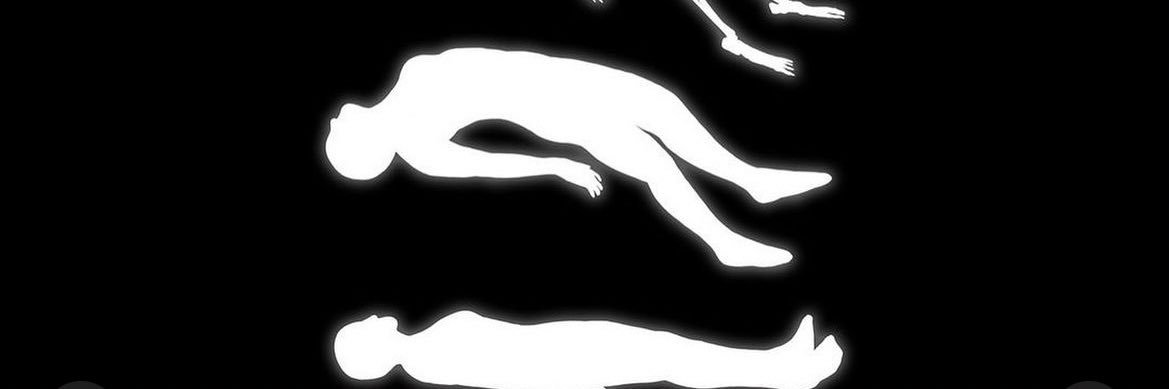carrtrimin's profile banner image