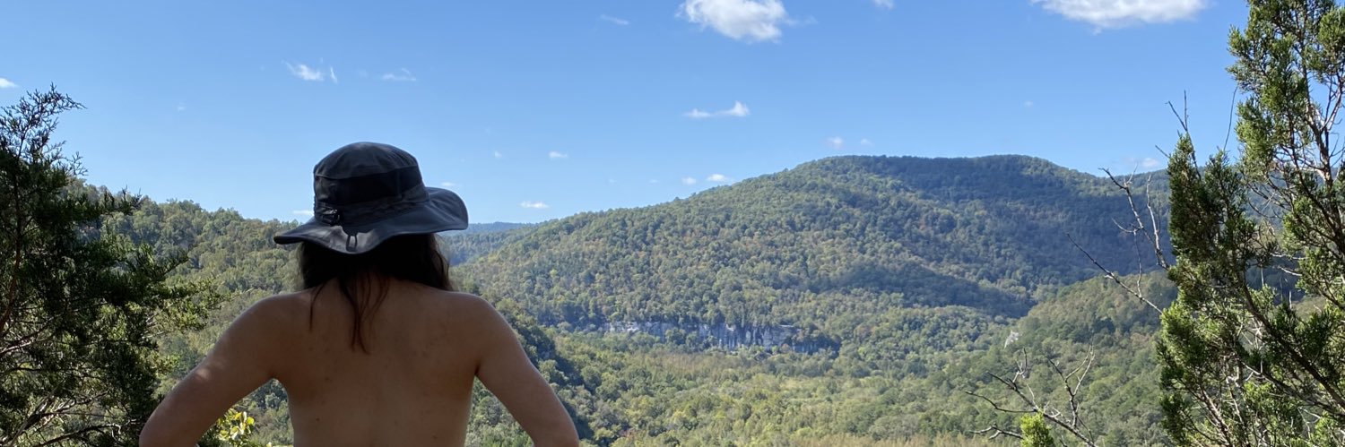 taylorpaiger's profile banner image