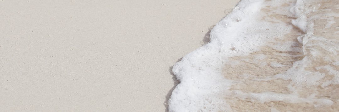 bholiday31's profile banner image