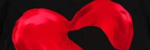 Varacas's profile banner image