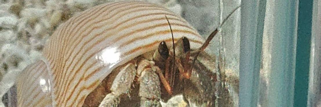 浮 DTMおじさん 12/06 GLAY／MikiPiano投稿！！ banner