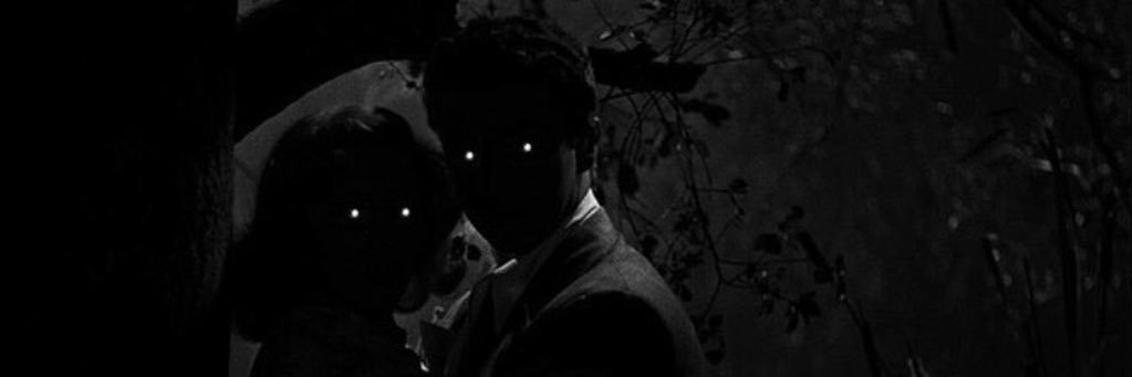 cassandralitten's profile banner image