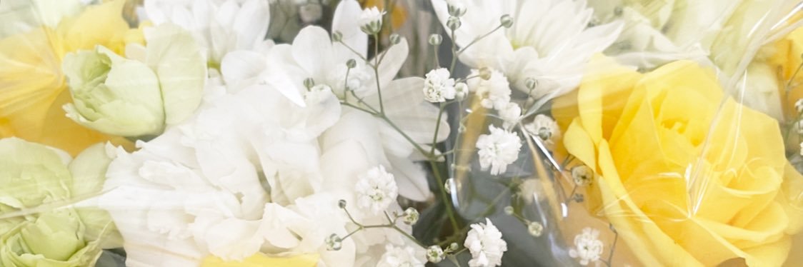 りこちゃん banner