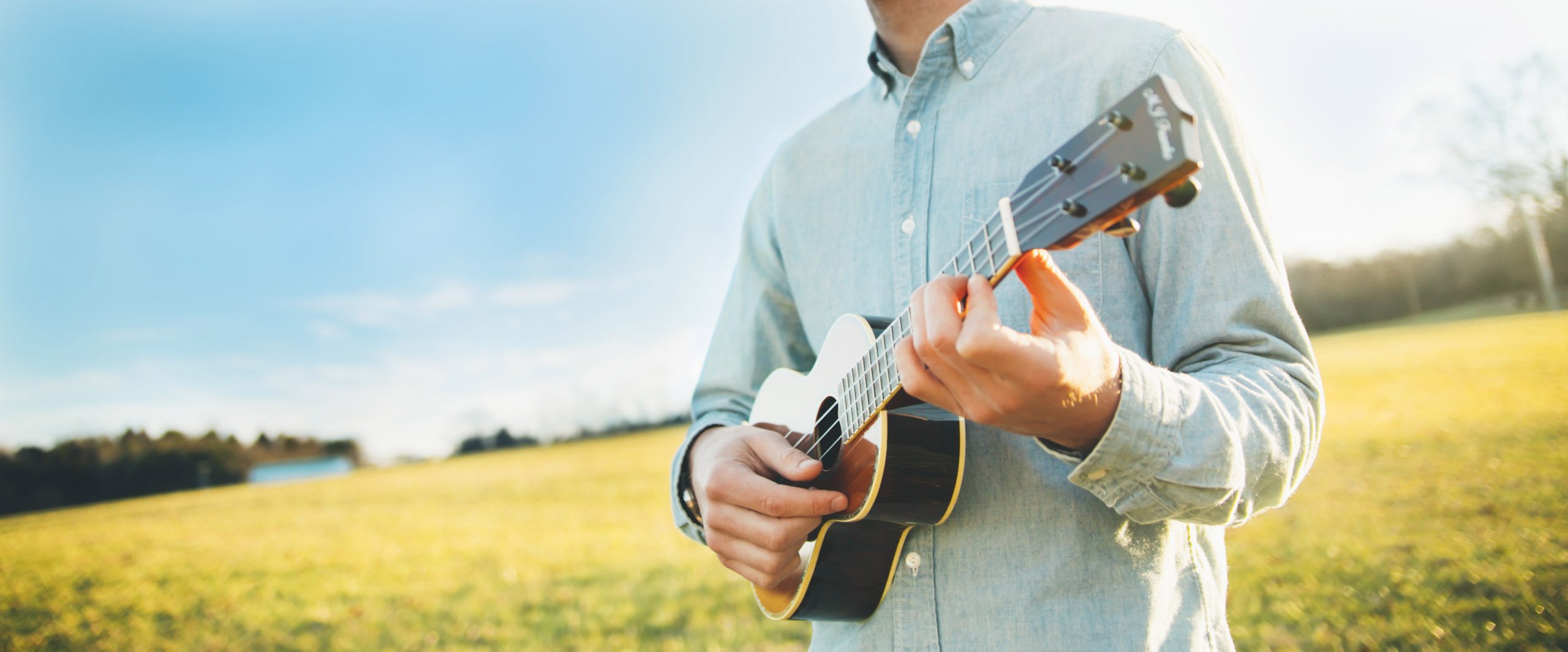 ukuleletricks's profile banner image