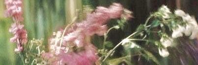 karinamistress banner