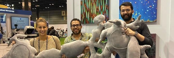 The McGehee Lab banner