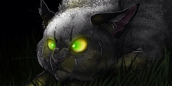 LeaderBlackstar's profile banner image