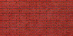MiamiAlly's profile banner image