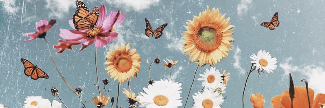lgnkx's profile banner image
