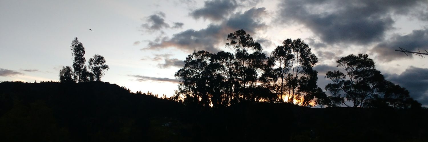 Isa96sierra's profile banner image