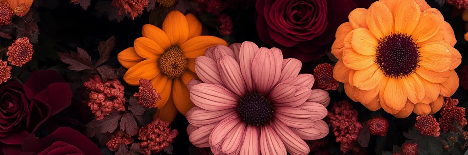 DCiaaaa's profile banner image
