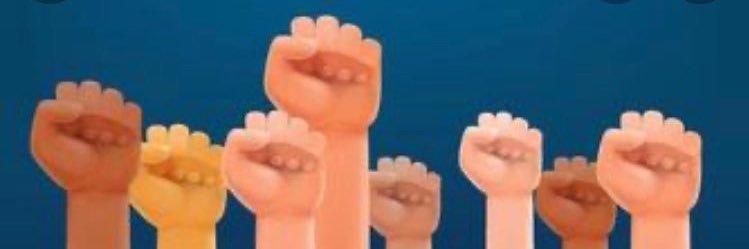 BellaGriep's profile banner image