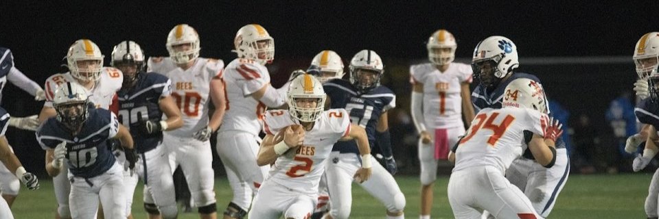 Bees Boosters banner