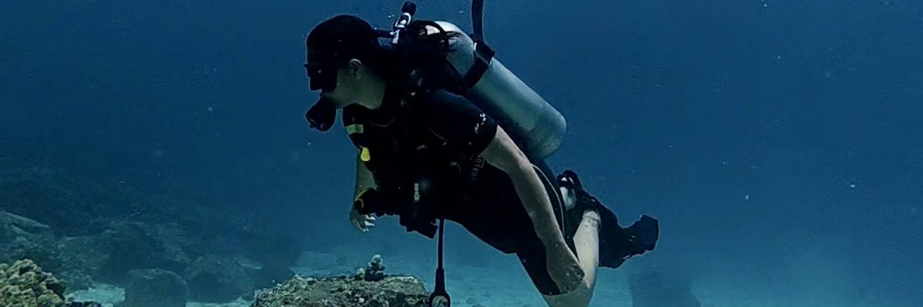 onchainhuman's profile banner image