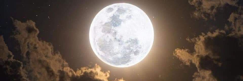 LoboAdams125's profile banner image