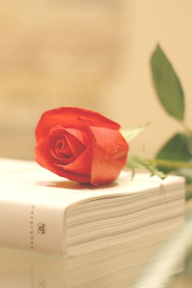 3yooon_y's profile banner image