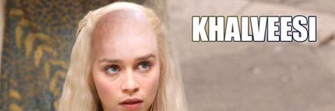 Le Daim banner