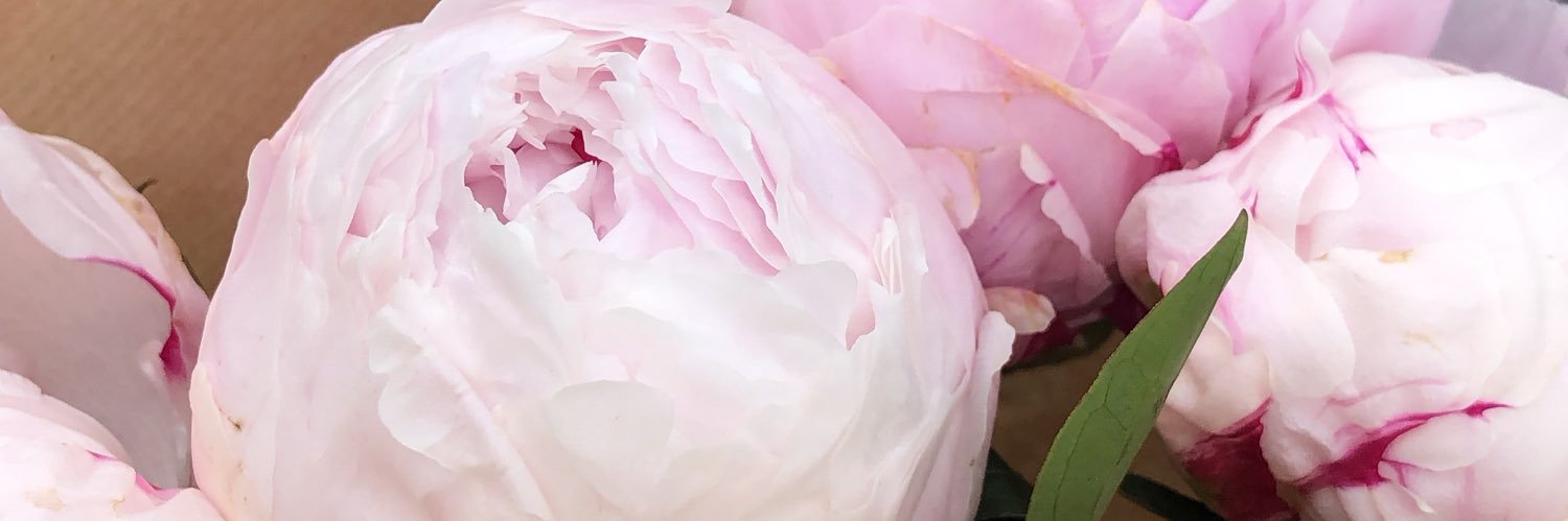 ccourtney06's profile banner image