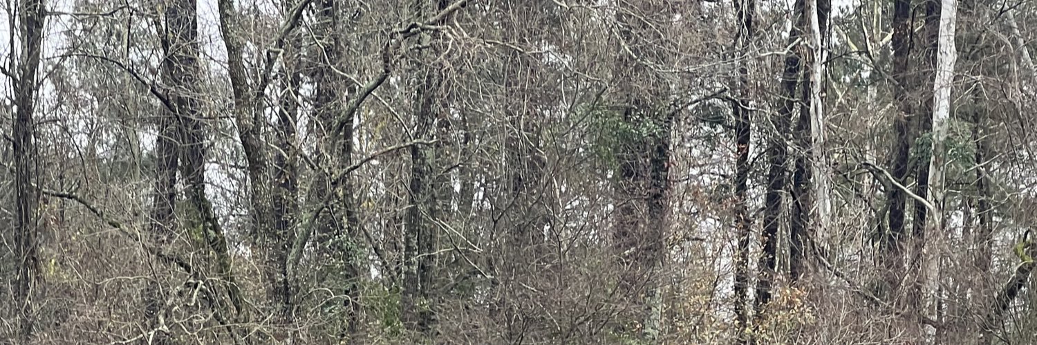 Aaron Mitchell banner