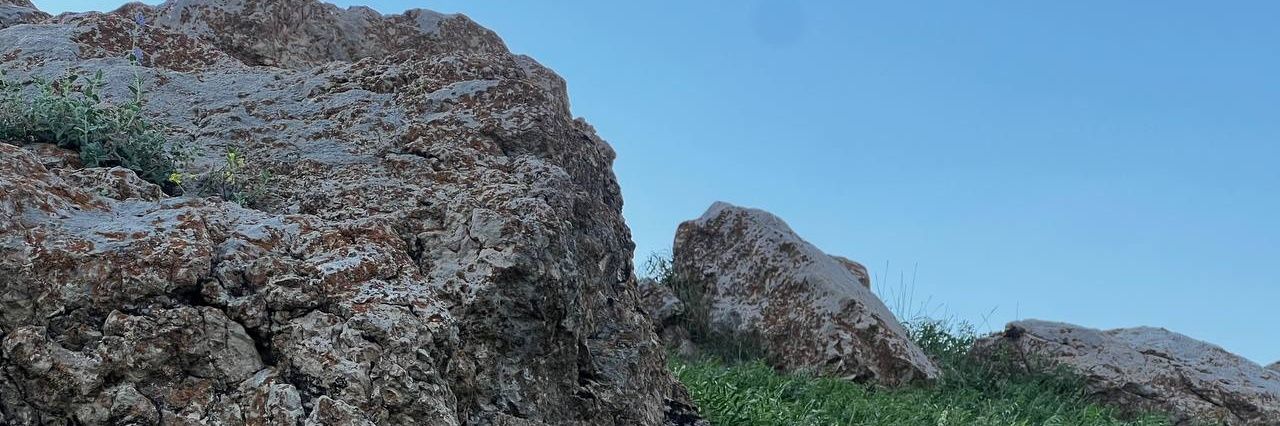 آثروپاتا banner