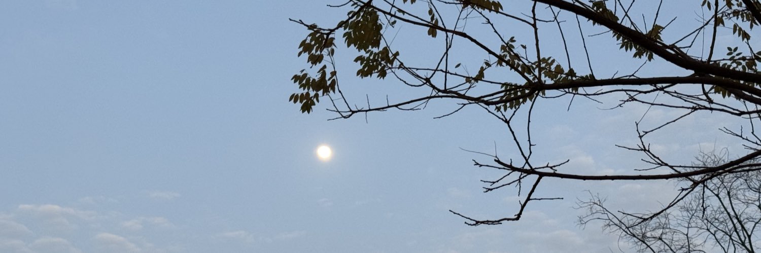 ijustseesee's profile banner image