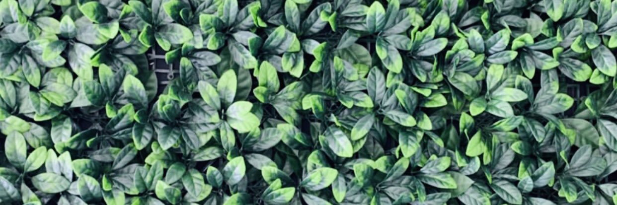youngbianx's profile banner image