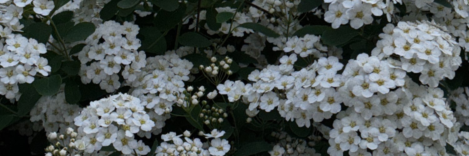colinwrestle's profile banner image