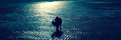 John S Nolan parody banner