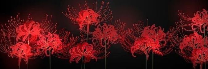 ItMeAna_'s profile banner image