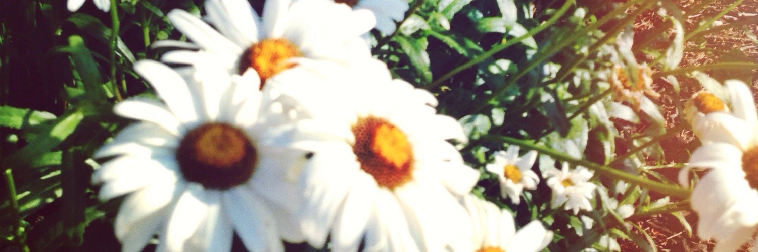 erinsafaggot's profile banner image