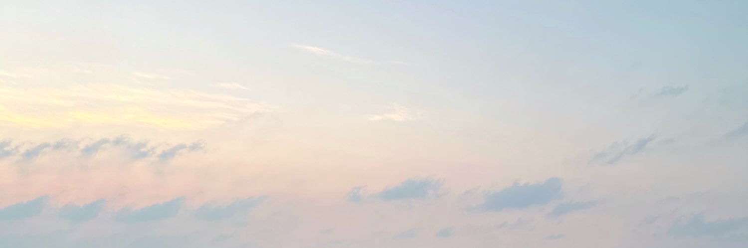 andreagrauzas's profile banner image