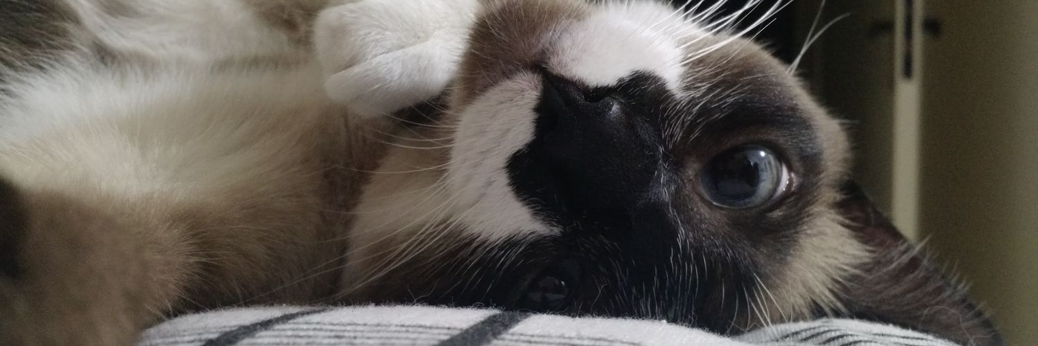 GoodOldGava's profile banner image