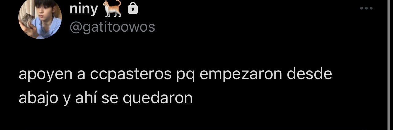 rt al fijado plis banner