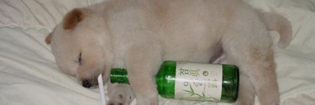 archived / arsa banner