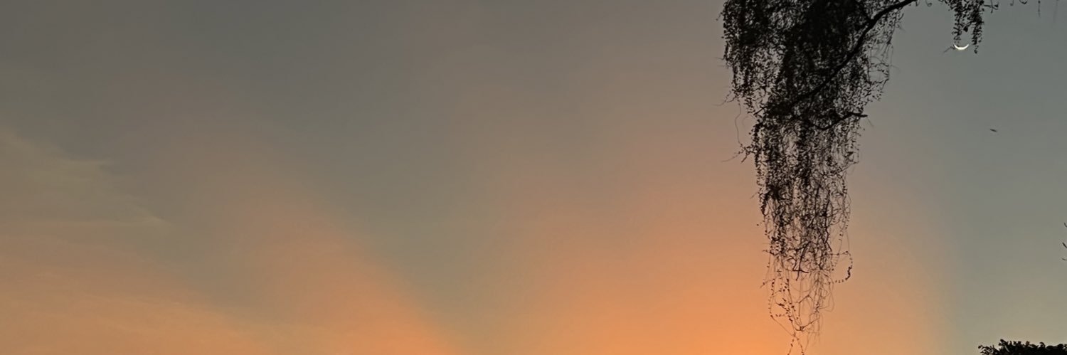 larissaclaro_'s profile banner image