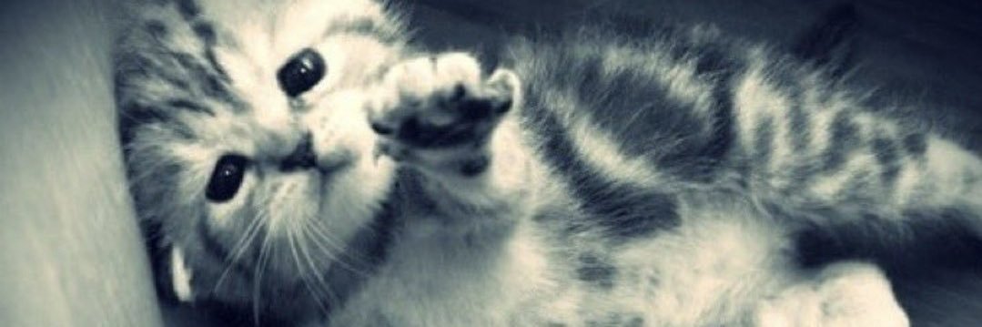 Solci 🌙 banner