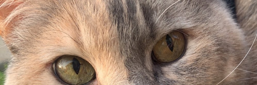 Mirandafaith00's profile banner image