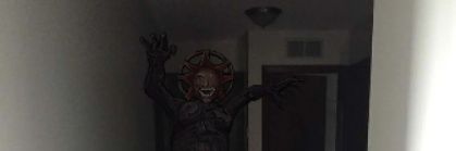 Rojo Rosa banner