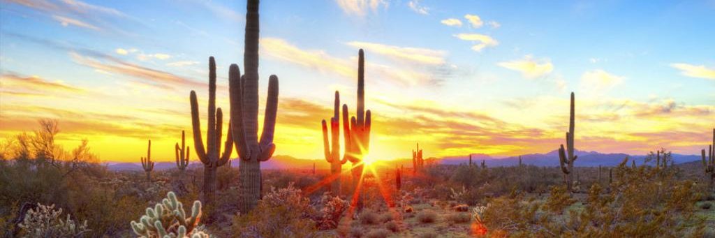 DRightsArizona's profile banner image