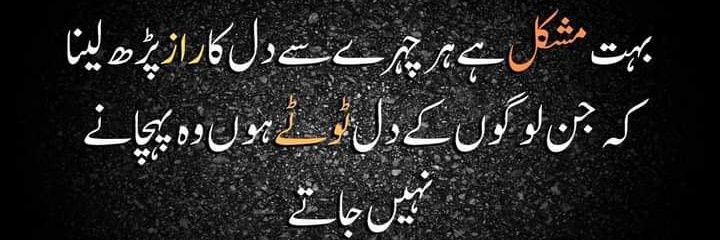 Sadia banner
