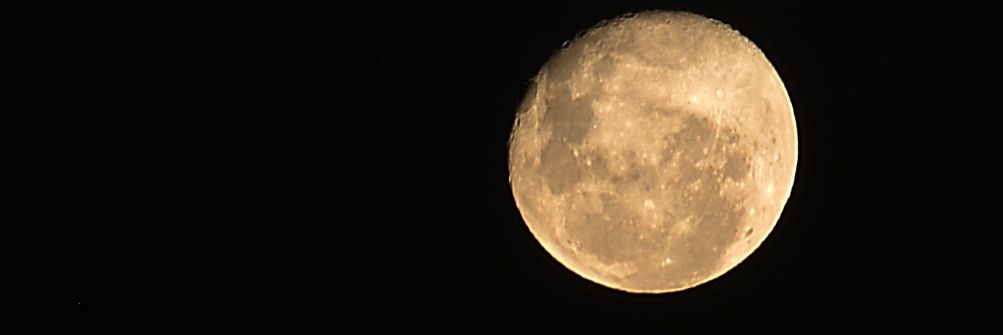 FalaVicente's profile banner image