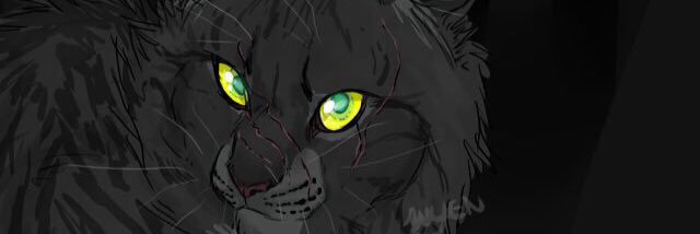 real_darkstripe's profile banner image