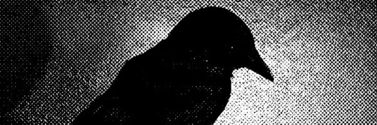 hnnerdao's profile banner image