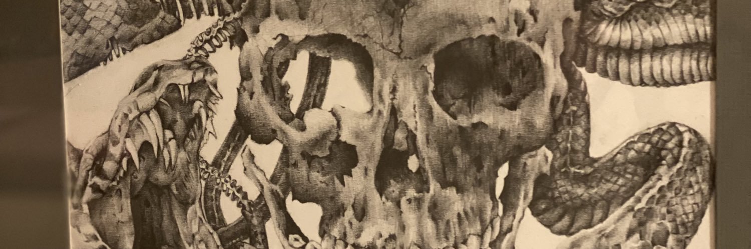 SteveFNMayer's profile banner image