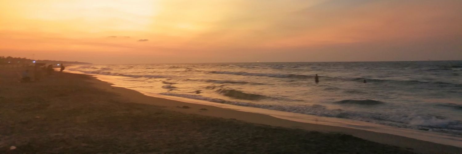Torexno's profile banner image