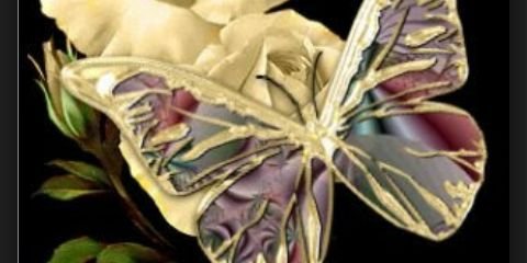 DanielaDiazPer4's profile banner image