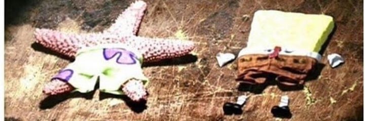 Candice banner