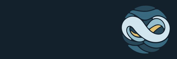 NetSuite Profile Banner