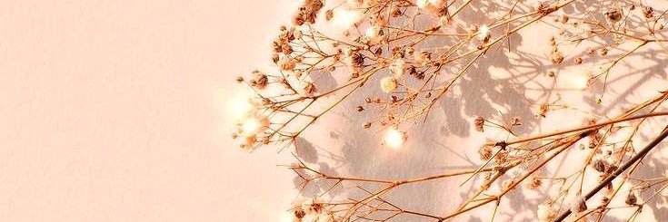 Madison11620931's profile banner image
